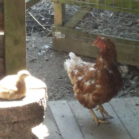 Funny-farm Agroturismo