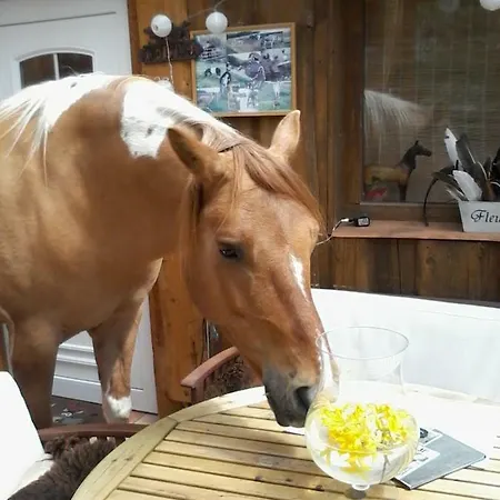 Funny-farm Agroturismo