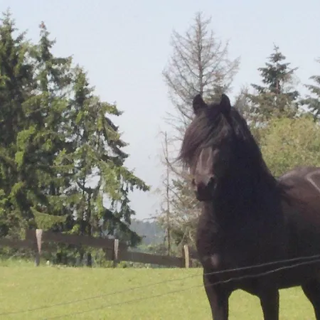 Agroturismo Funny-farm Sassen