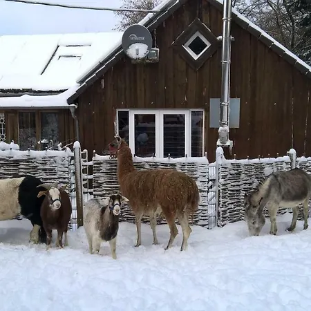 Séjour à la ferme Funny-farm *