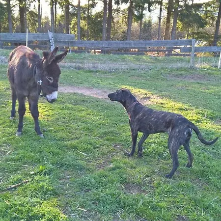 Alloggio per agriturismo Funny-farm *