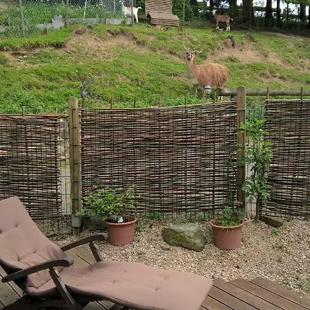 Funny-farm