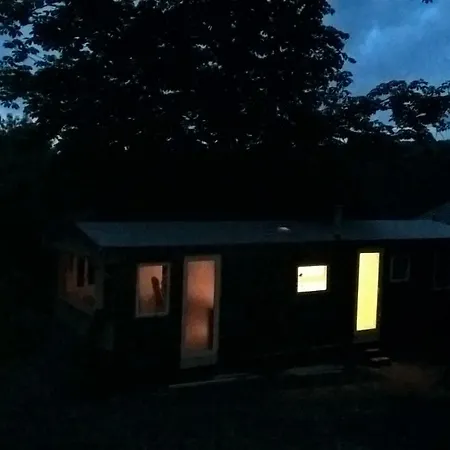 Funny-farm *