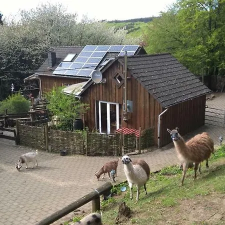Funny-farm *