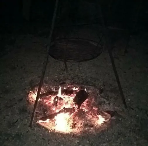 ファームステイ Funny-farm Sassen