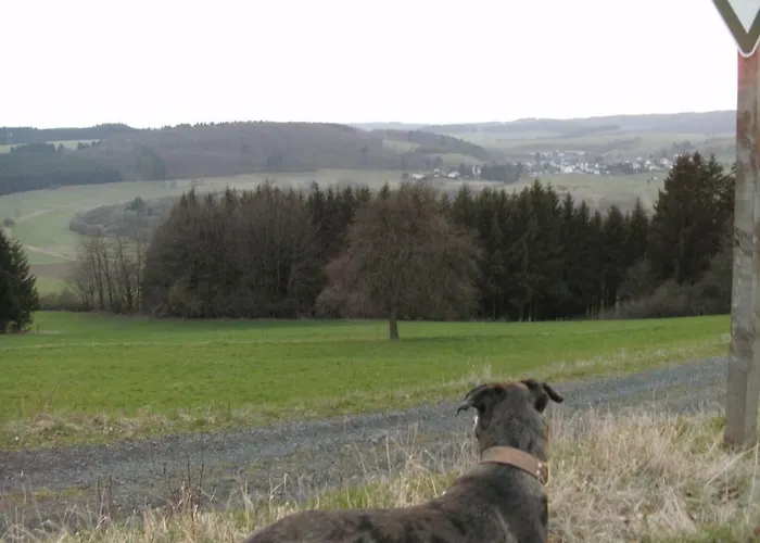 Funny-farm ファームステイ