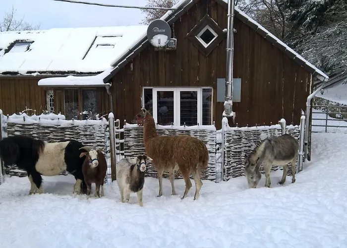 ファームステイ Funny-farm *