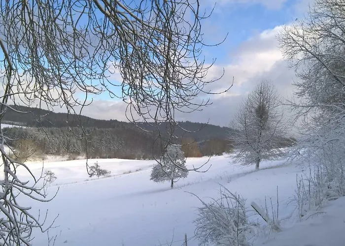 Funny-farm ファームステイ *